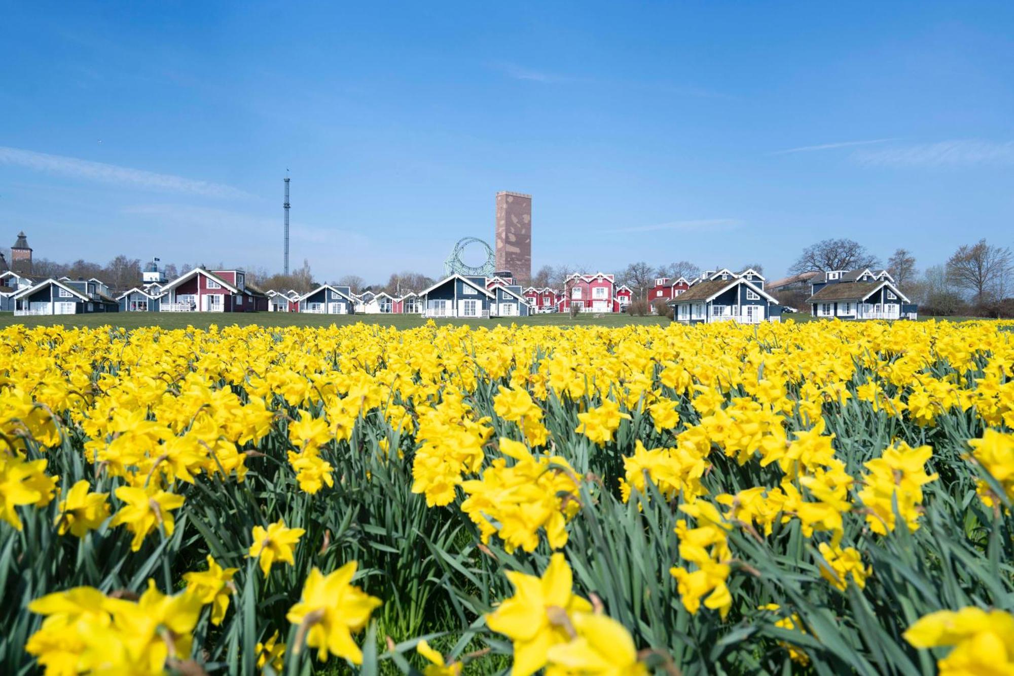 Strandpark Sierksdorf H092 "Ostsehblick" Exterior photo
